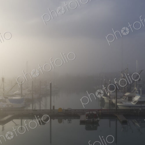 Fog at boat harbor