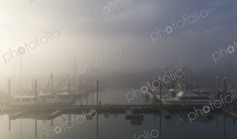Fog at boat harbor