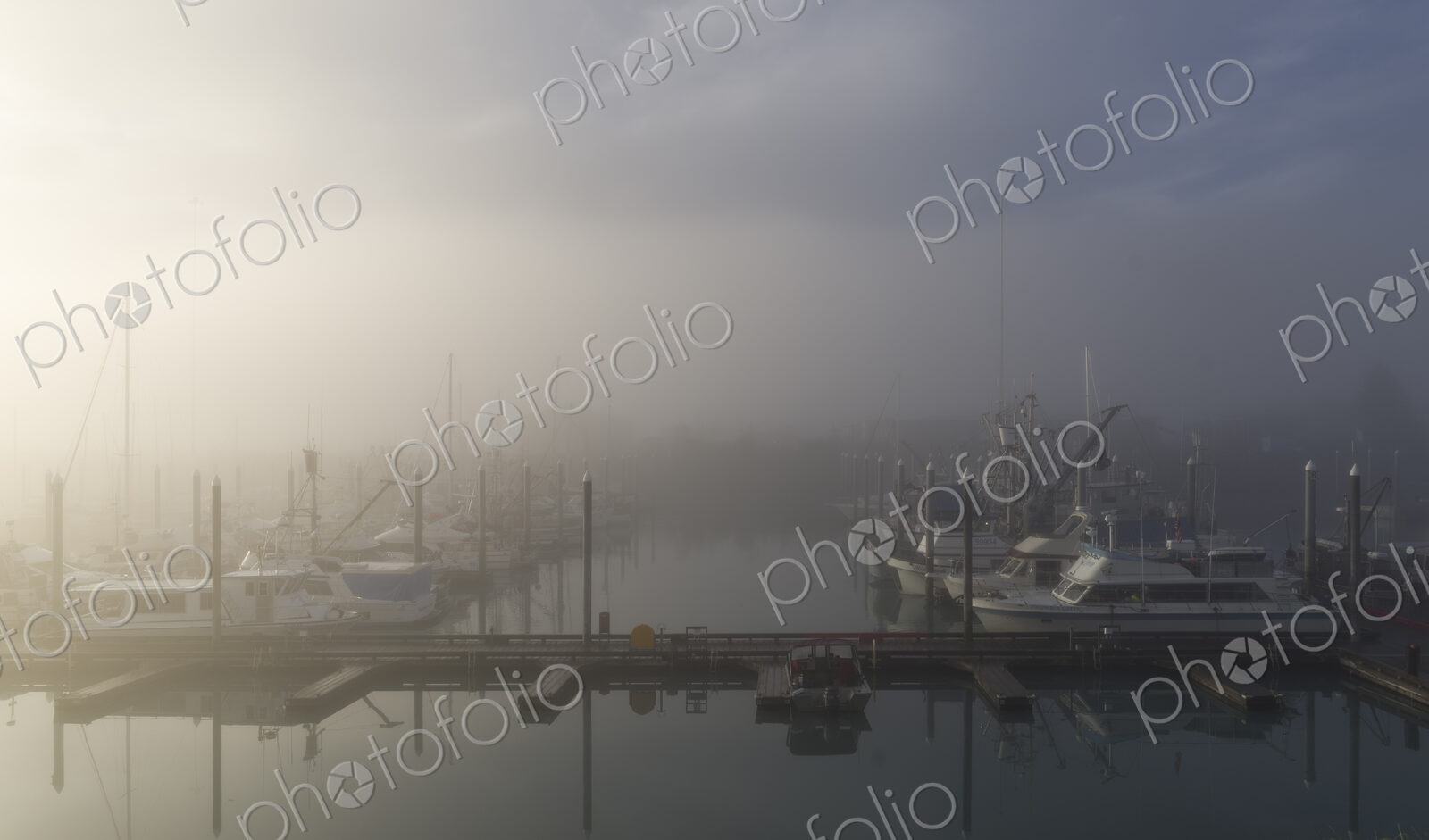 Fog at boat harbor