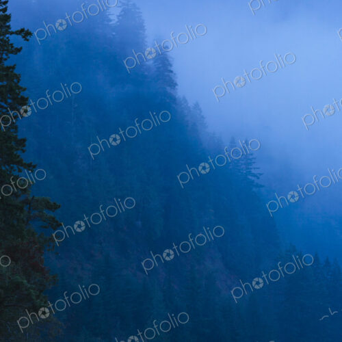 Fog over Lake Crescent, Olympic National Park, WA, USA Fog over Lake Crescent, Olympic National Park, WA, USA