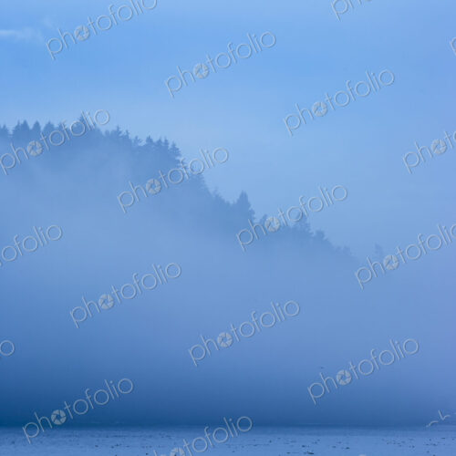 Fog over island, San Juan Islands, WA, USA Fog over island, San Juan Islands, WA, USA