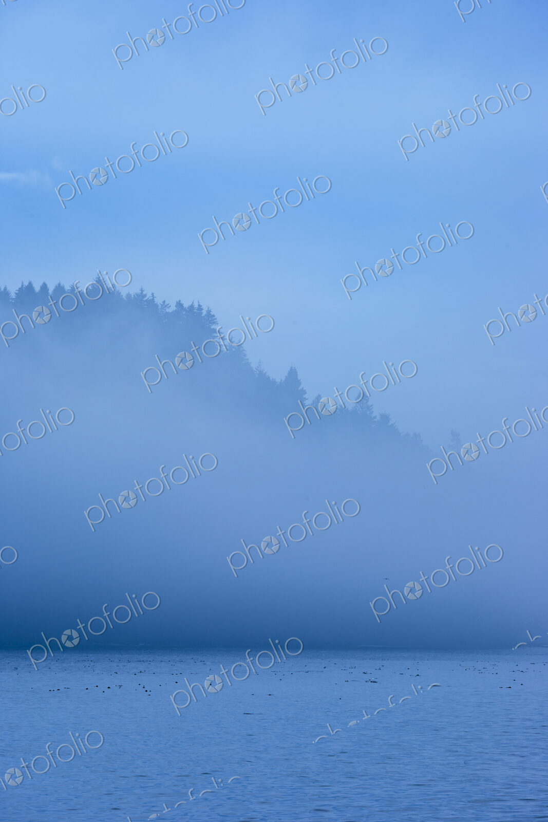 Fog over island, San Juan Islands, WA, USA