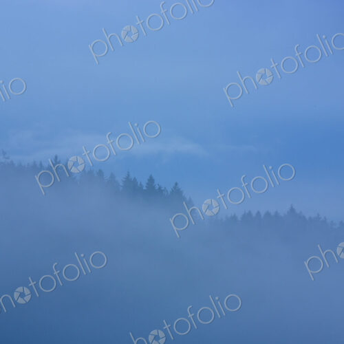 Fog over island, San Juan Islands, WA, USA Fog over island, San Juan Islands, WA, USA
