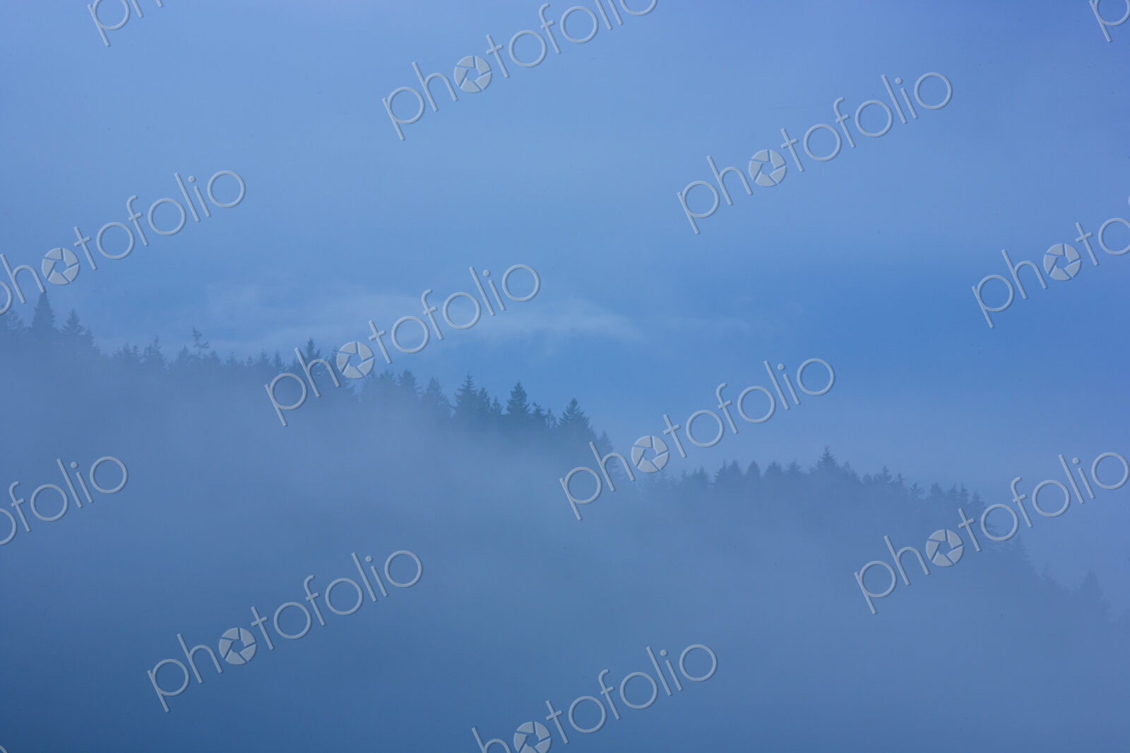 Fog over island, San Juan Islands, WA, USA