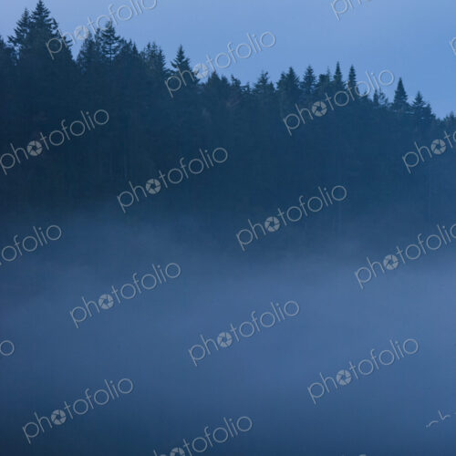 Fog over island, San Juan Islands, WA, USA Fog over island, San Juan Islands, WA, USA
