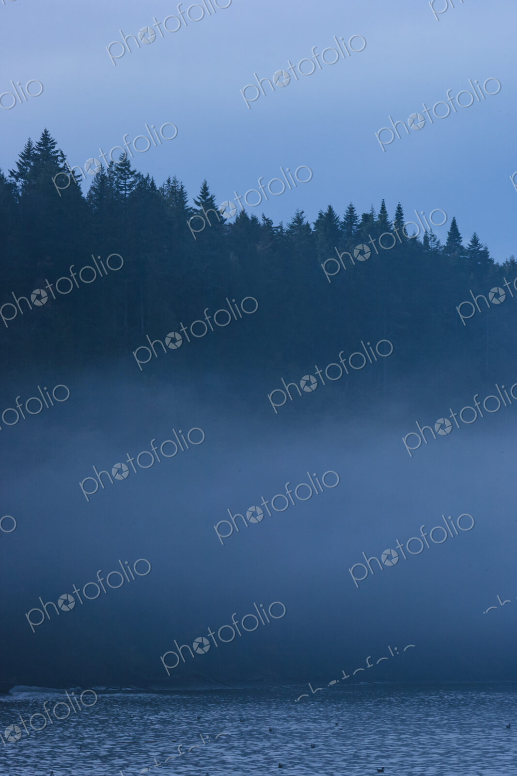 Fog over island, San Juan Islands, WA, USA