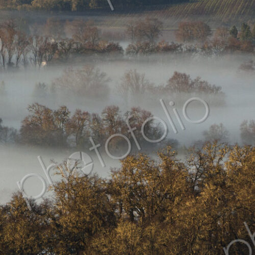 Fog rolling over rural landscape Fog rolling over rural landscape