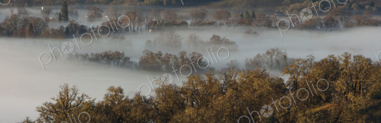 Fog rolling over rural landscape