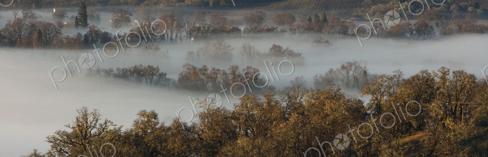 Fog rolling over rural landscape
