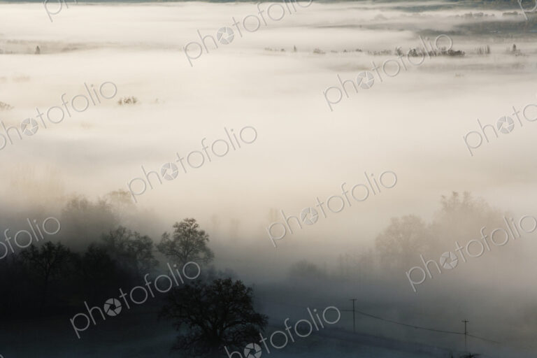 Fog rolling over rural landscape