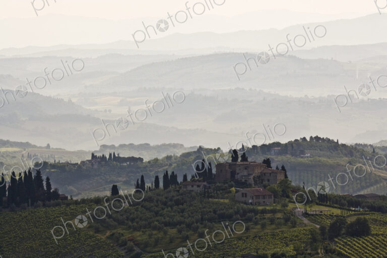 Foggy Tuscan Landscape at Sunrise