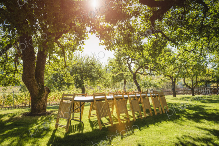 Folded chairs leaning on table in backyard