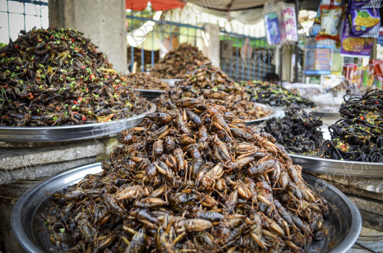 Food market in Cambodia, close up of trays with heaps of a selection of deep fried…