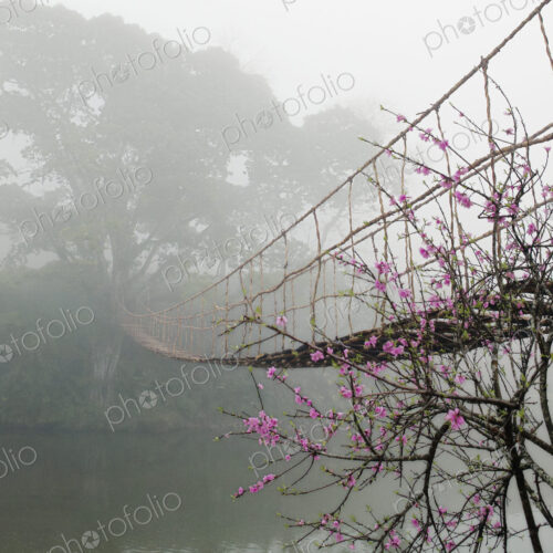 Footbridge Suspended Over a Foggy River Footbridge Suspended Over a Foggy River