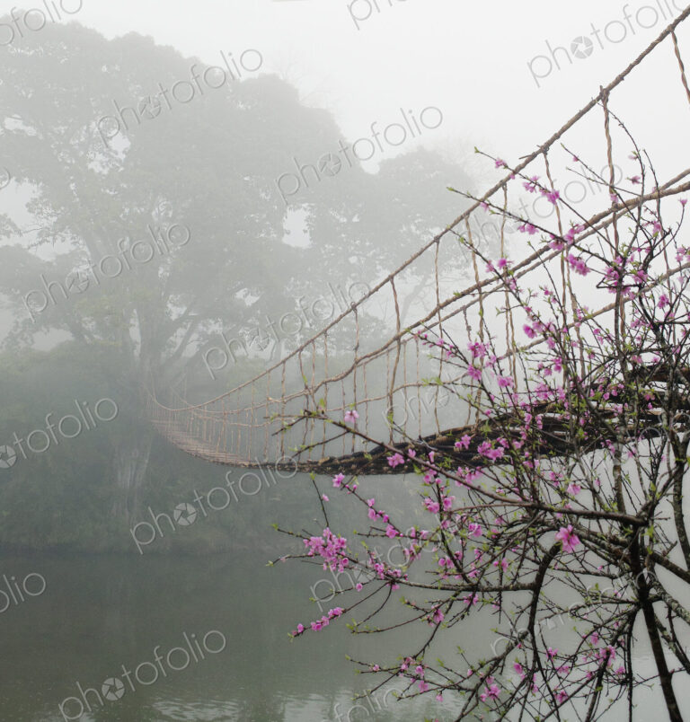 Footbridge Suspended Over a Foggy River