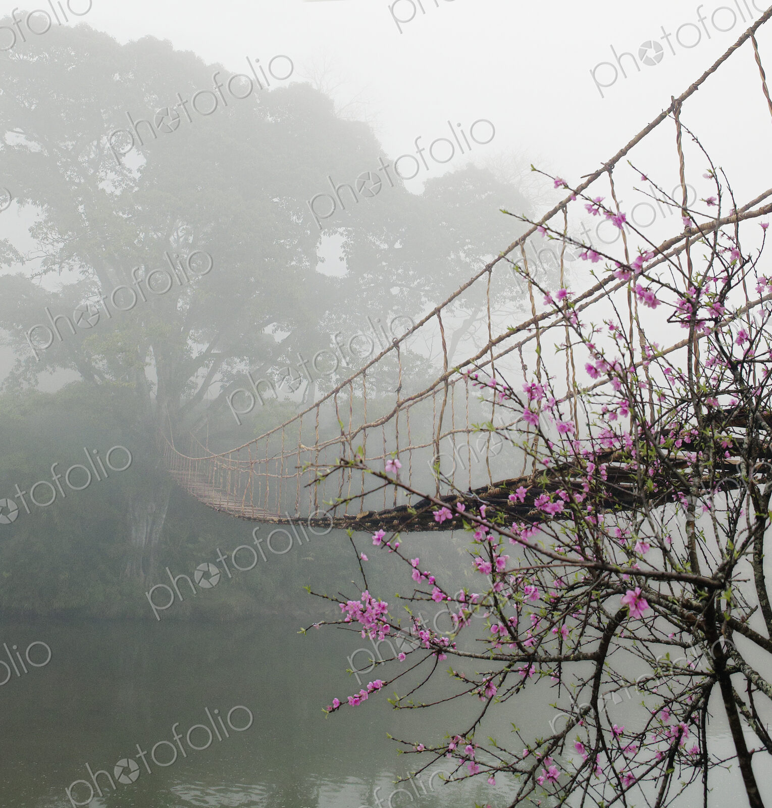 Footbridge Suspended Over a Foggy River