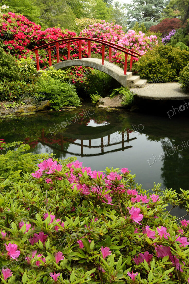 Footbridge and lush plants in park