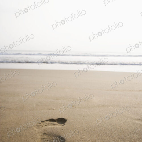 Footprint in the Sand Footprint in the Sand