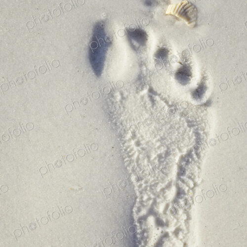 Footprint in the Sand Footprint in the Sand
