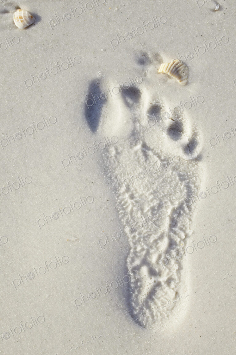 Footprint in the Sand