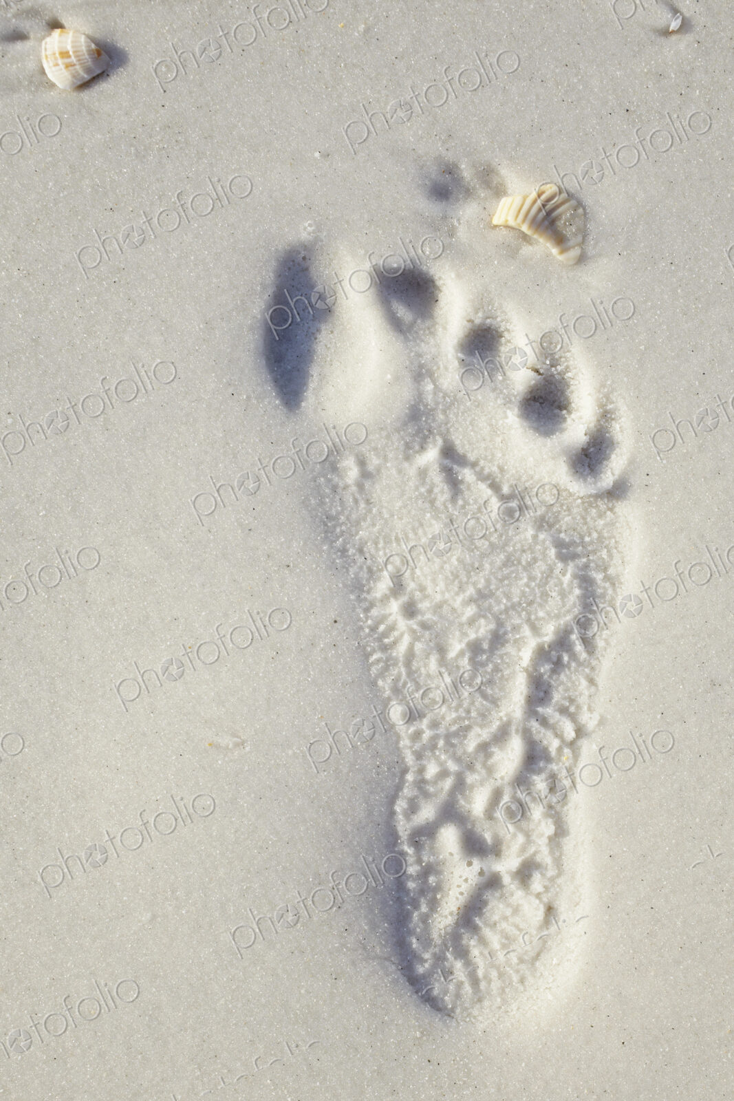 Footprint in the Sand