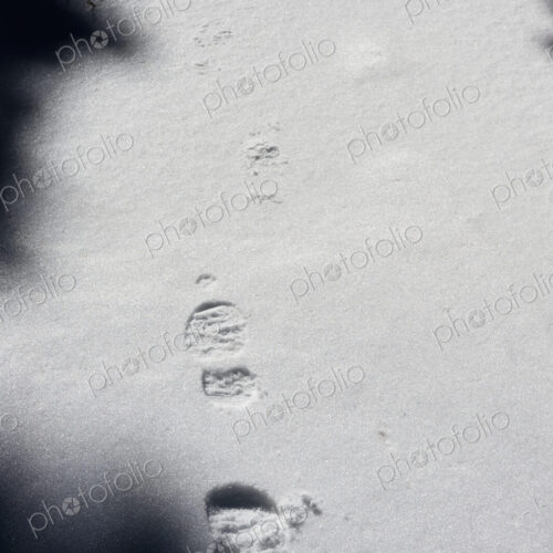 Footprints in Snow