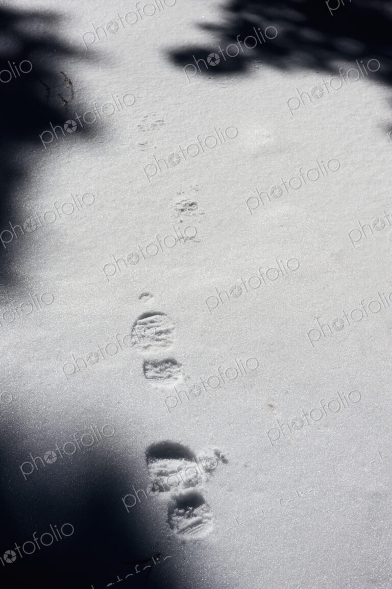 Footprints in Snow