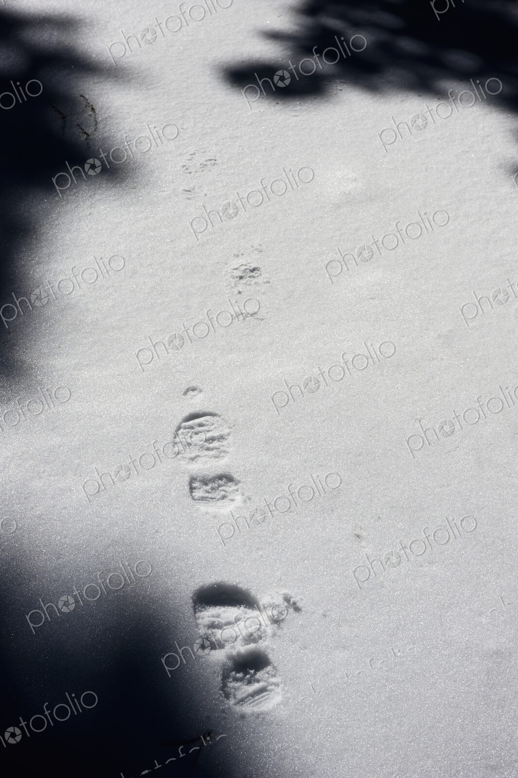 Footprints in Snow
