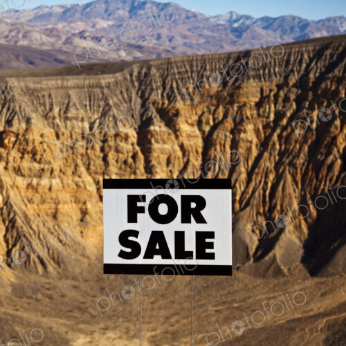 For Sale Sign in Desert Landscape