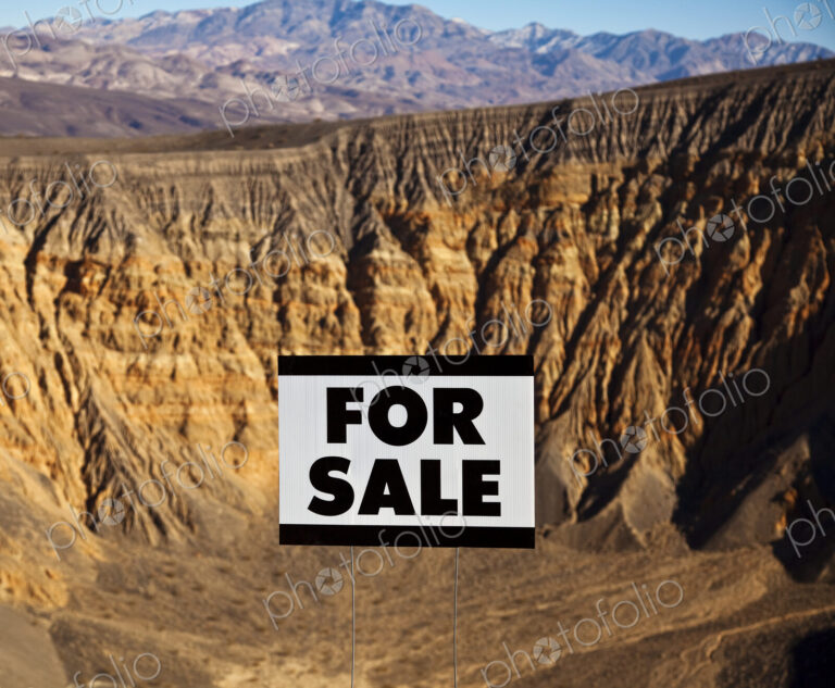 For Sale Sign in Desert Landscape