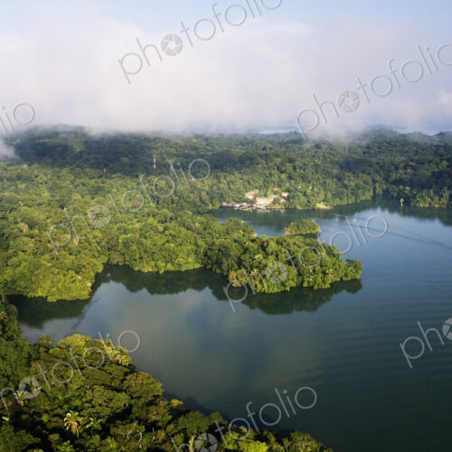 Forest and Lake Forest and Lake