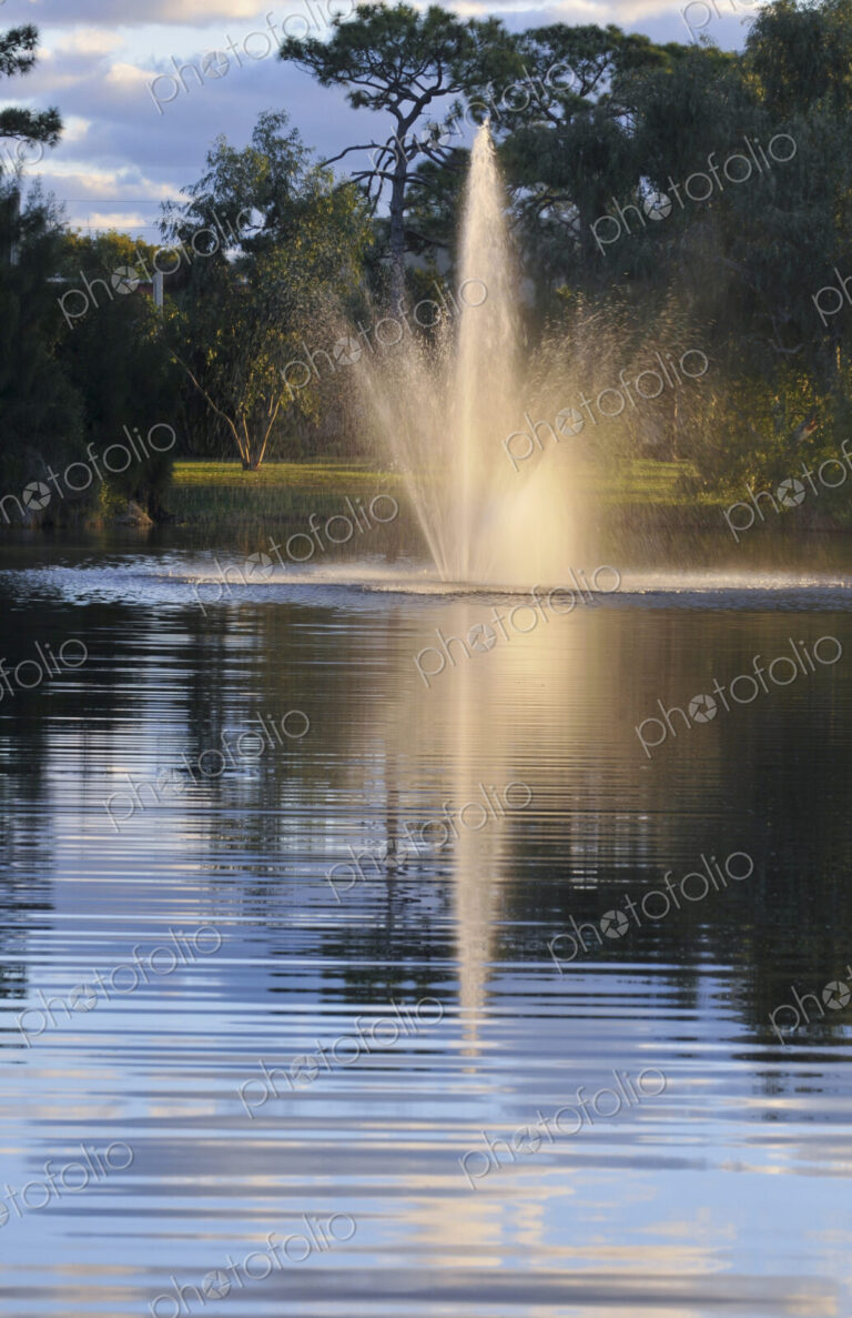 Fountain splashing in pond