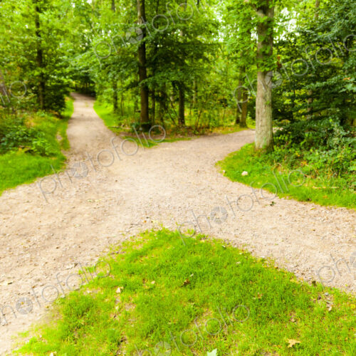 Four way intersection of gravel footpaths, Denmark, Four way intersection of gravel footpaths, Denmark,