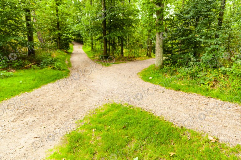 Four way intersection of gravel footpaths, Denmark,