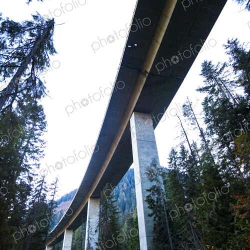Freeway bridge through forest, Snoqualmie Pass, view from below. Freeway bridge through forest, Snoqualmie Pass, view from below.