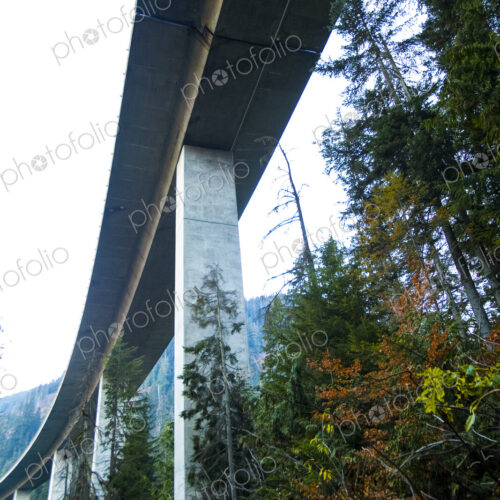 Freeway bridge through forest, Snoqualmie Pass, view from below.