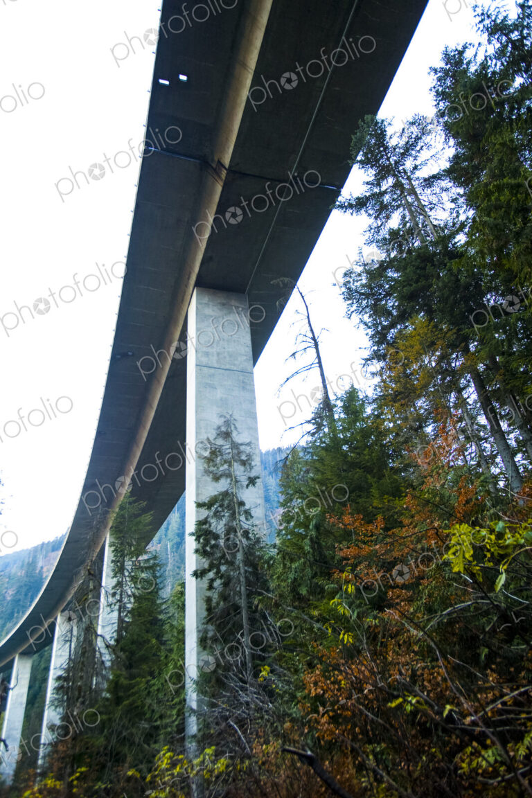 Freeway bridge through forest, Snoqualmie Pass, view from below.
