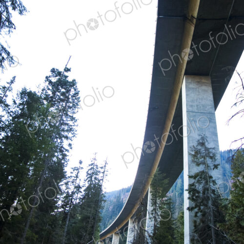 Freeway bridge through forest, Snoqualmie Pass, view from underneath. Freeway bridge through forest, Snoqualmie Pass, view from underneath.