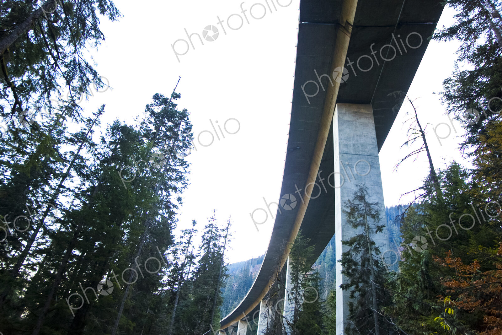 Freeway bridge through forest, Snoqualmie Pass, view from underneath.
