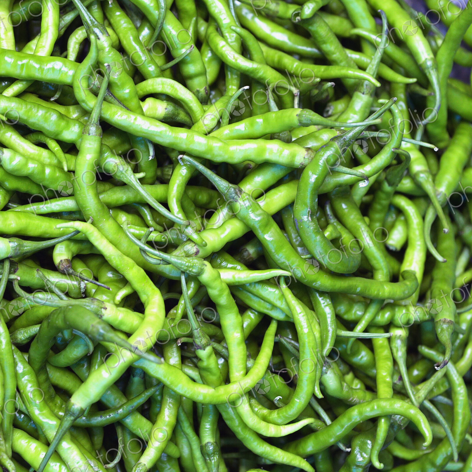 Fresh Green Beans
