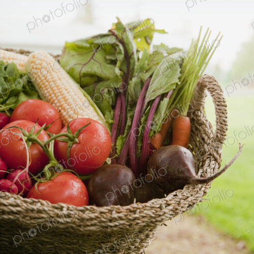 Fresh Vegetables in a Basket Fresh Vegetables in a Basket