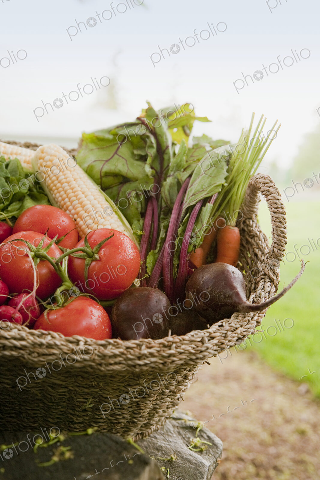 Fresh Vegetables in a Basket