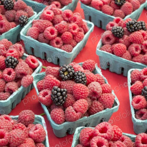 Fresh blackberries and raspberries in baskets for sale at a farmers market in Seattle,… Fresh blackberries and raspberries in baskets for sale at a farmers market in Seattle,…