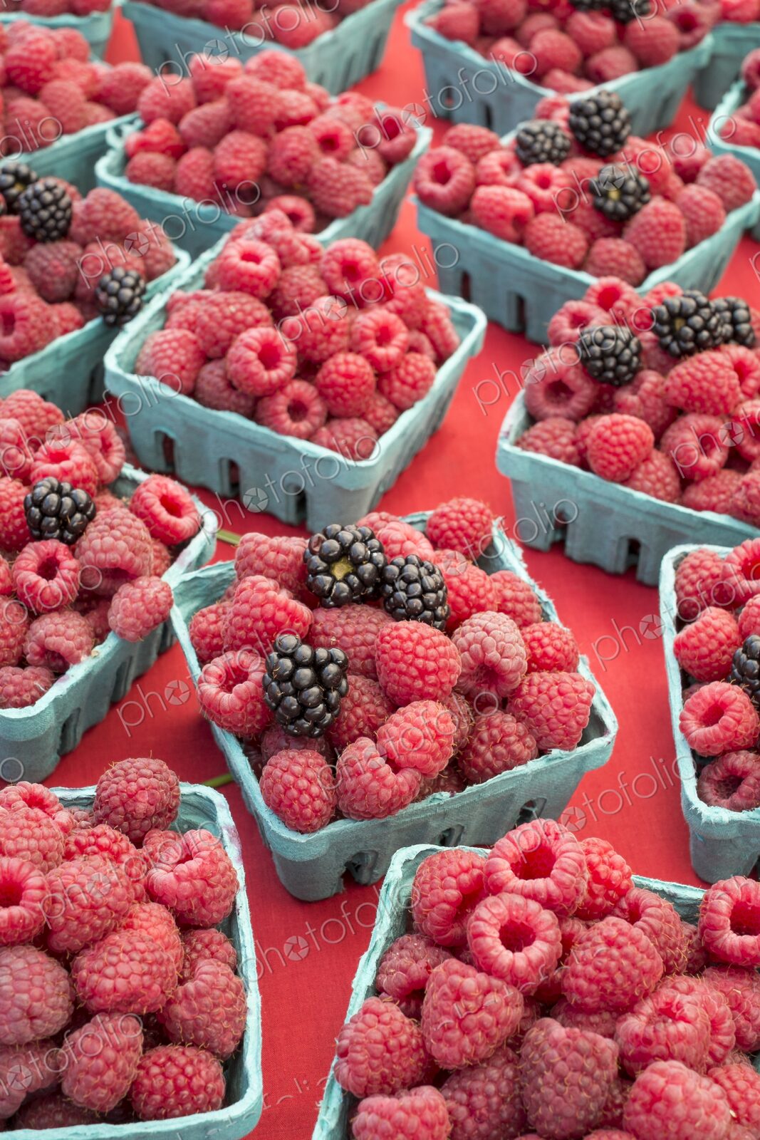 Fresh blackberries and raspberries in baskets for sale at a farmers market in Seattle,…