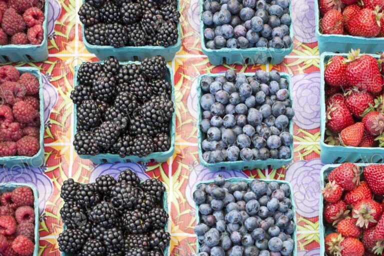 Fresh blackberries, raspberries, blueberries, and strawberries in baskets at a Seattle…