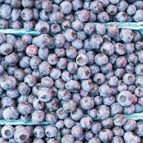 Fresh blueberries for sale at a farmers market in Seattle, Washington. Pike Place Market Fresh blueberries for sale at a farmers market in Seattle, Washington. Pike Place Market