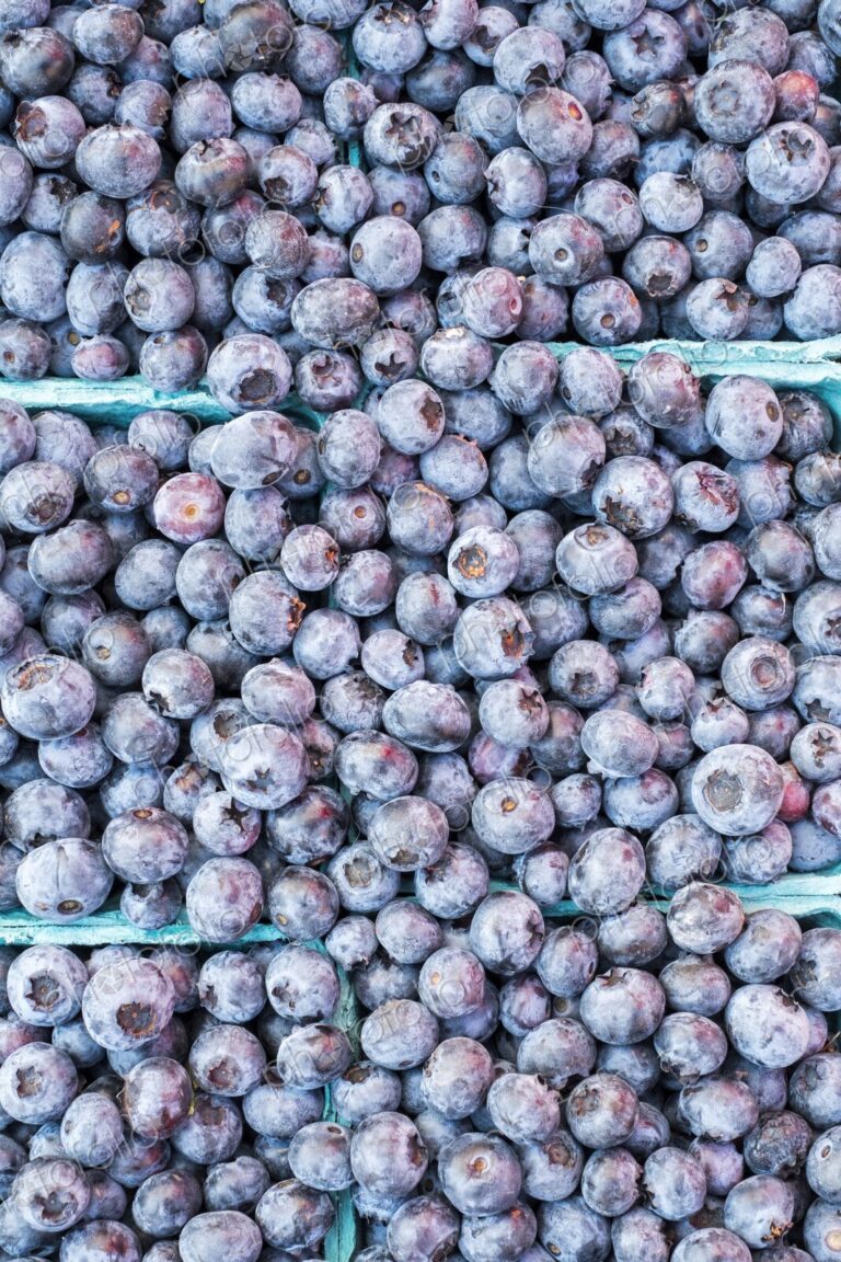 Fresh blueberries for sale at a farmers market in Seattle, Washington. Pike Place Market