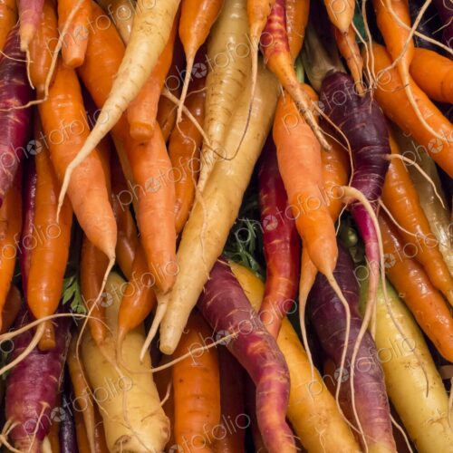 Fresh bunches of multicolored carrots for sale at a farmers market in Seattle, Washington. Fresh bunches of multicolored carrots for sale at a farmers market in Seattle, Washington.
