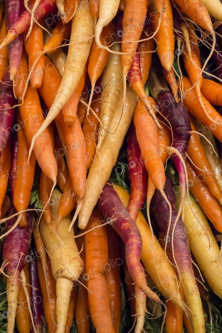Fresh bunches of multicolored carrots for sale at a farmers market in Seattle, Washington.