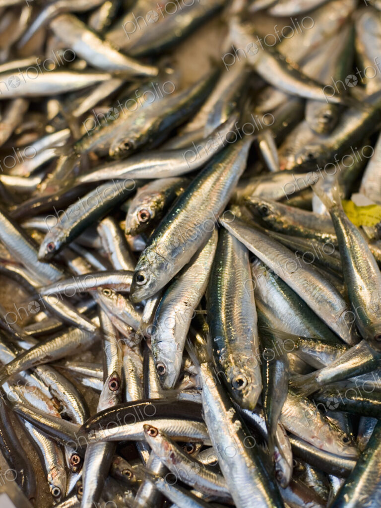 Fresh fish on a stall at the Rialto market.